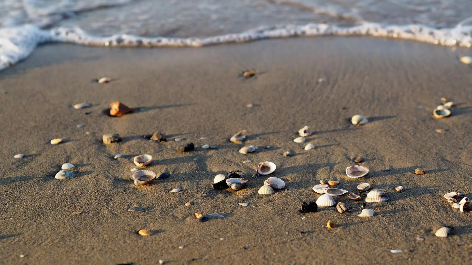 Nice One Bedroom Apartment Close To The Beach Bibione